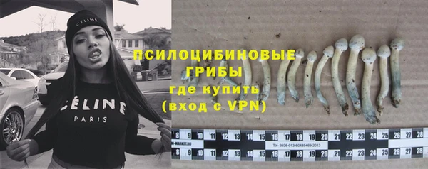 apvp Инсар