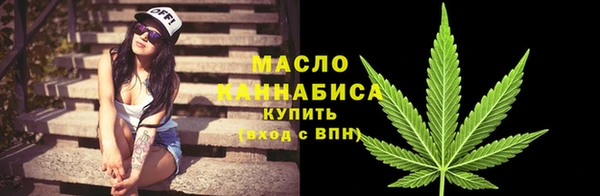 apvp Инсар