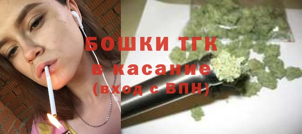 apvp Инсар