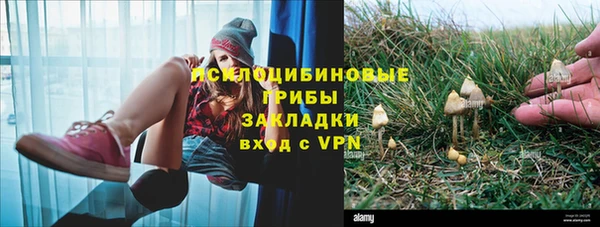 Альфа ПВП Инта