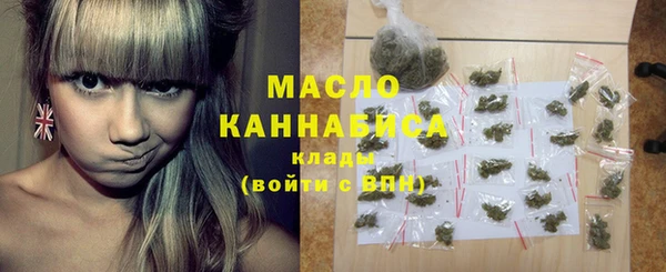 Альфа ПВП Инта
